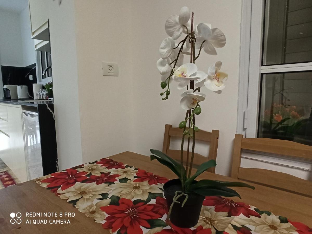 Boutique 22 Guest Rooms Haifa Ngoại thất bức ảnh